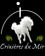 Les Crinières du Mir